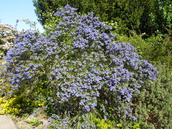 1 semaine avant le Fête de l'Ecole