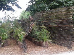 Concours Reco IDF 2018