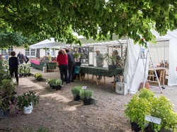 Fête de l'école 2019