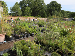 FÊTE ÉCOLE- 29 et 30 mai 2021
