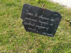 Fête des plantes (TRIZAY 17)