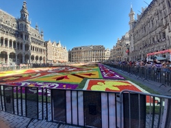 Grand Place de Bruxelles 2022