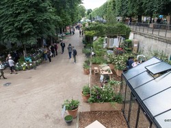 Jardins, jardin 2019