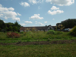 Le jardin à la française de l'école en images: évolution ou dévolution ?