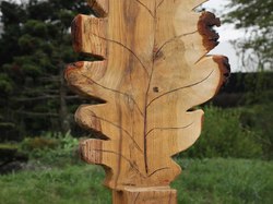 Photos de notre école