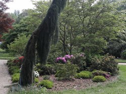 Photos de notre école