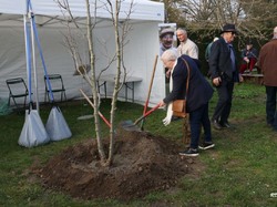 PLANTATION HOMMAGE A NICOLAS LE JARDINIER