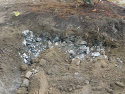 PROMENADE AUTOMNALE 2017