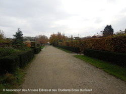 PROMENADE AUTOMNALE 2017