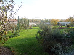 PROMENADE AUTOMNALE 2017