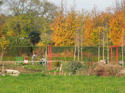 PROMENADE AUTOMNALE 2017