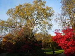 PROMENADE AUTOMNALE 2017