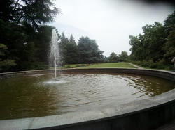 Vues du parc de Minoprio