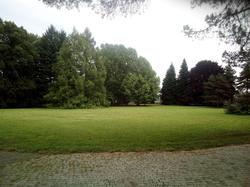 Vues du parc de Minoprio